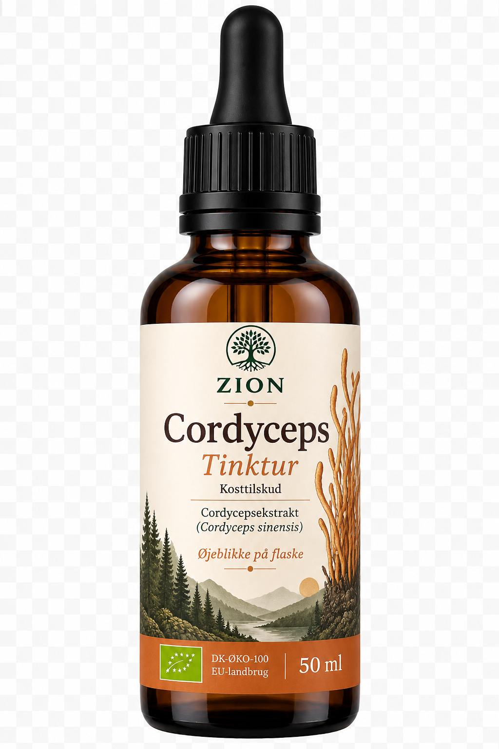 Cordyceps